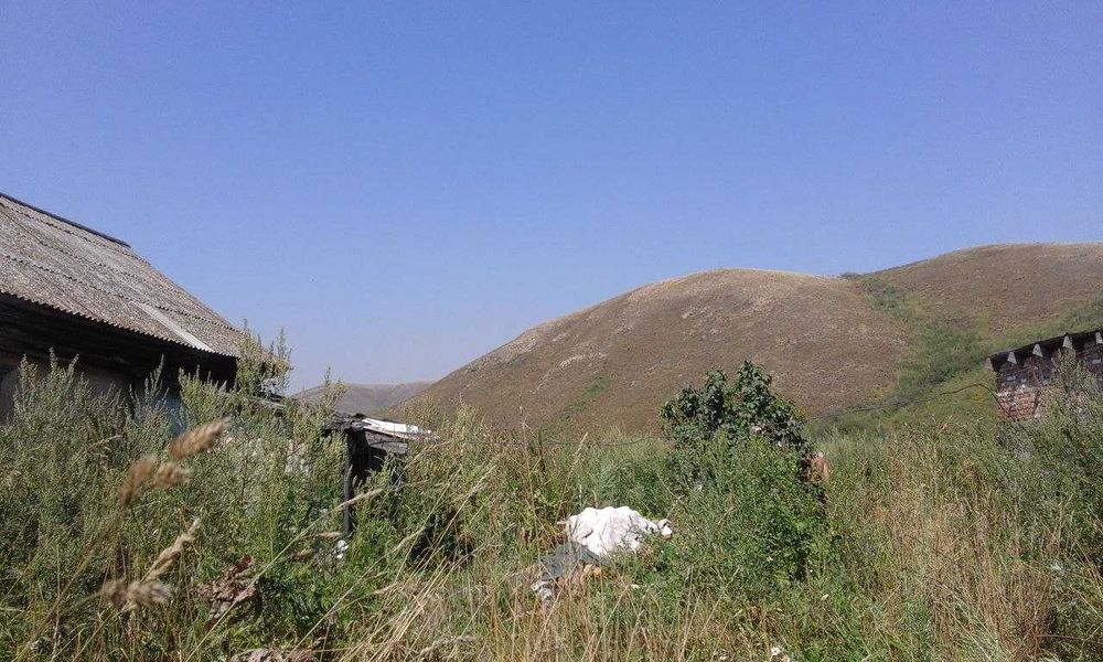 Продам дом в селе Быструха