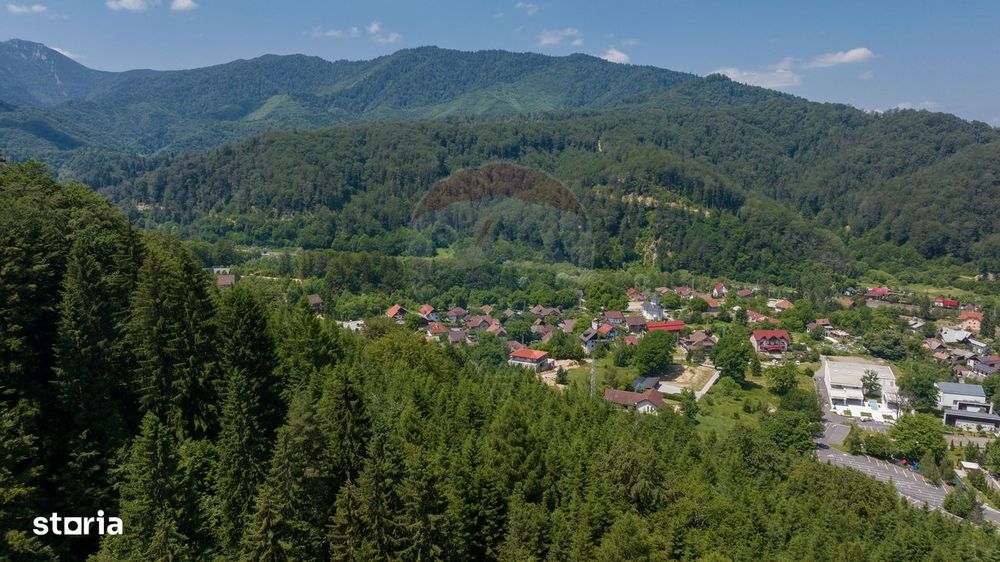 Teren intravilan, 3000 mp, Dâmbu Morii