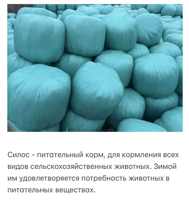 Силос кукурузный