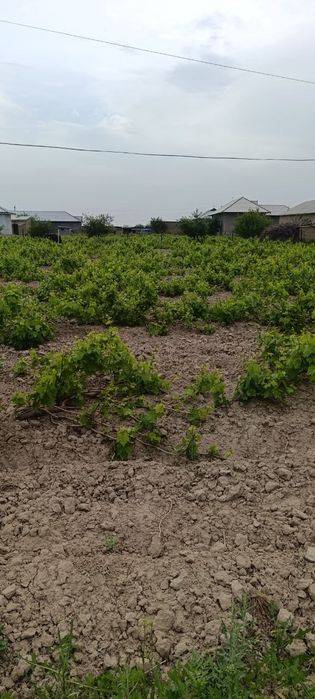 Учаска 20сотик+20сотик