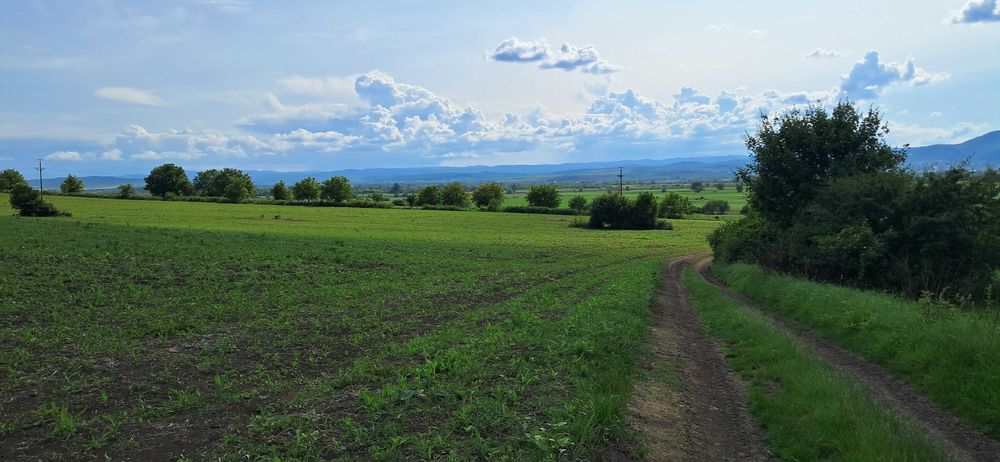 Vand teren intravilan Banpotoc