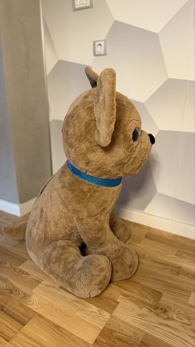 Vand usulet (Catel) de plus mare de 1 metru