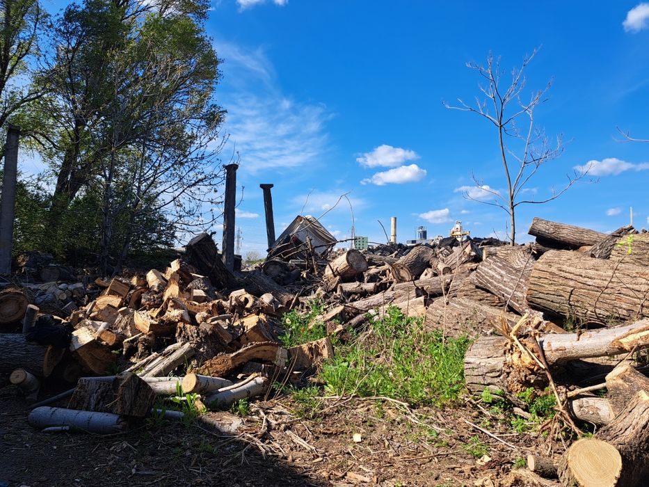 Lemne de foc  estenta tare