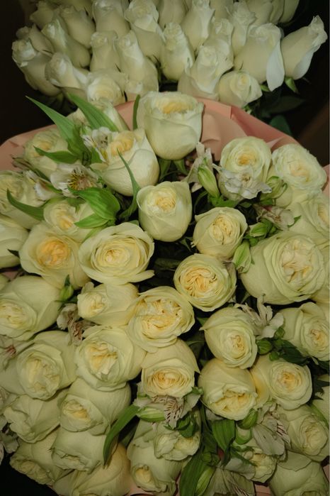 белые розы по 15к