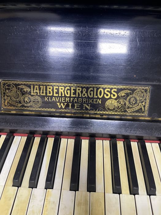 Pianina austriaca 1920