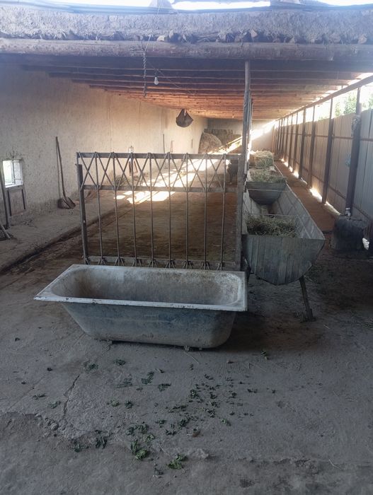 16 sotoxli uchastka sotiladi