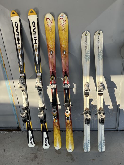Schiuri / Schi / ski / Clapari  39 - 43 / 146 - 170 cm