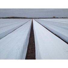 FOLIE MULCIRE ALB-NEGRU,Neperforata,30 Micr 1.2x500=440lei;1.4x500=500