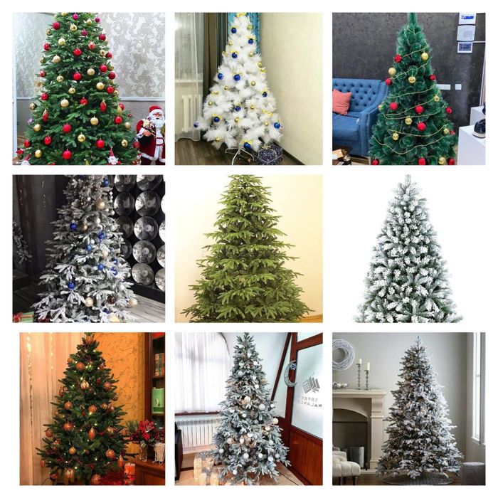 Северная ёлка с первых рук