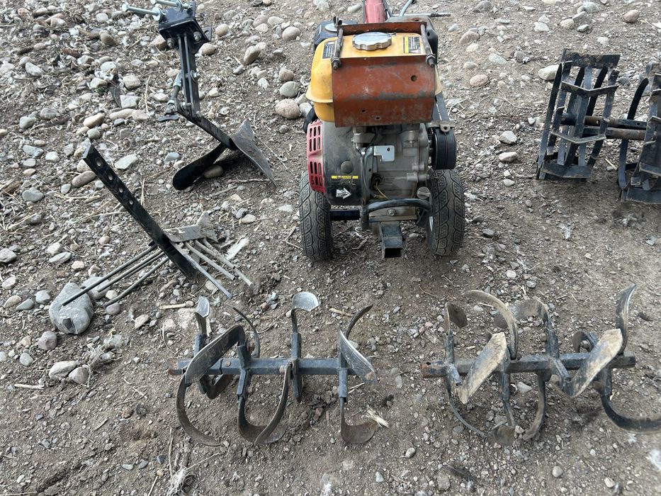 Култиватор сатамын