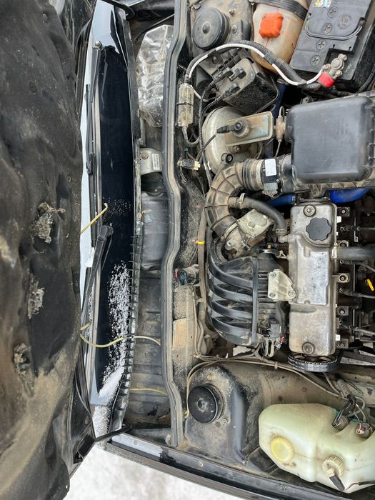 Продам живую чепырку