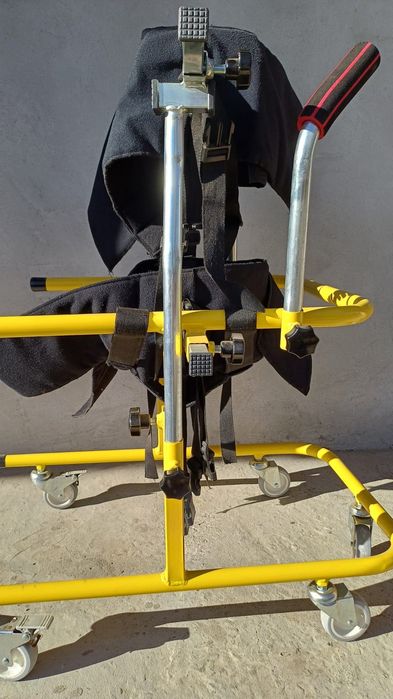 Premergător copii cu nevoie speciale