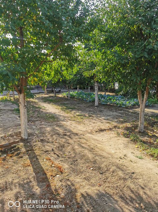 Къща с. Голям чардак област Пловдив