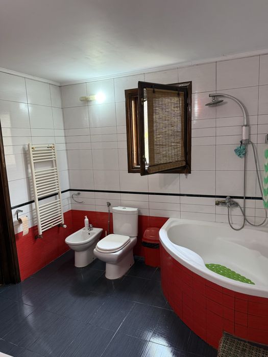 Casa in Ipotești 256 MP