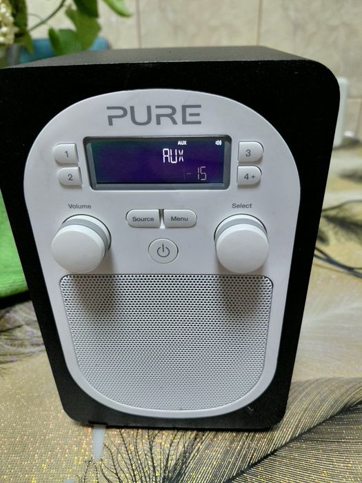 Vind radio Pure evoke d1