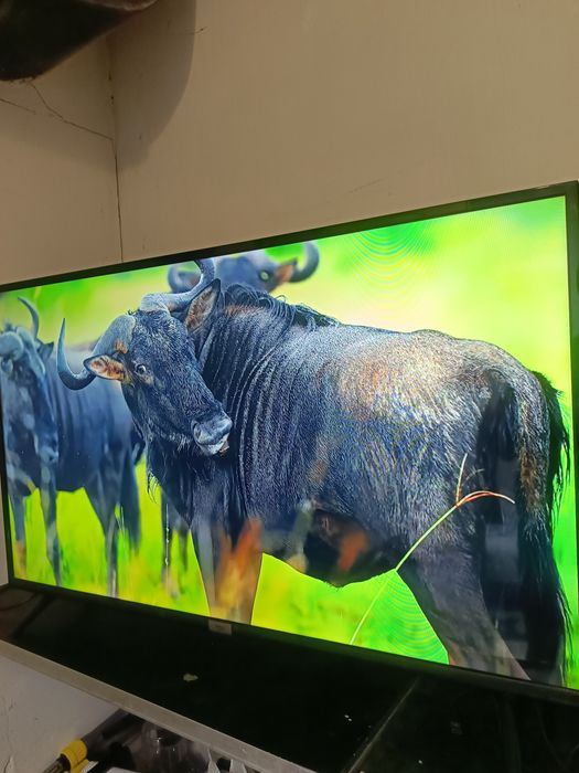 Смарт телевизор TCL Led49S6500