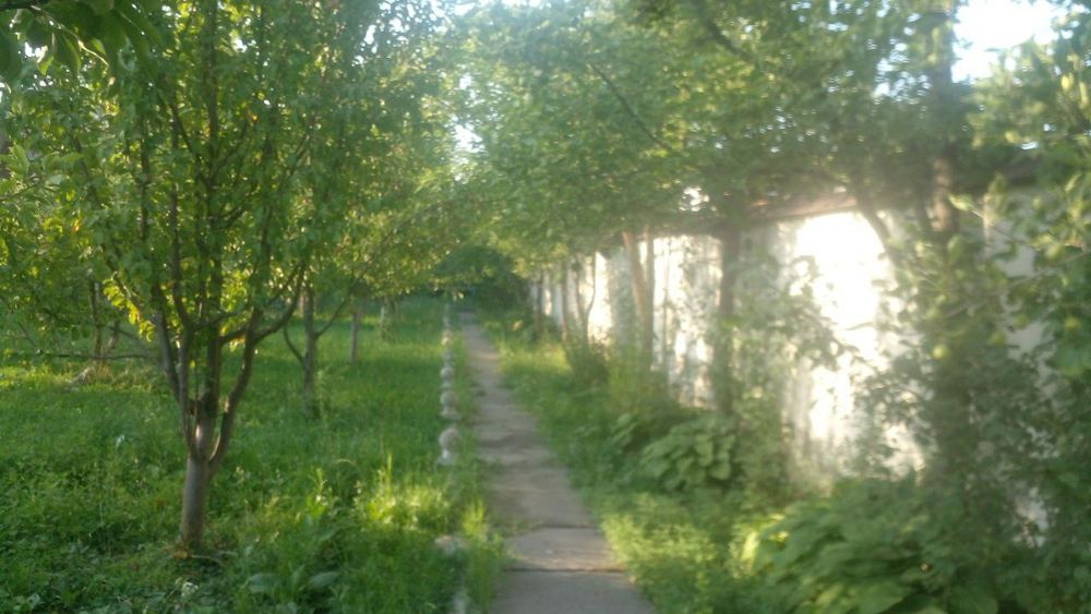 Наманган вилояти Янгиқӯрғон туманида Чортоқсой бӯйида дала-ҳовли