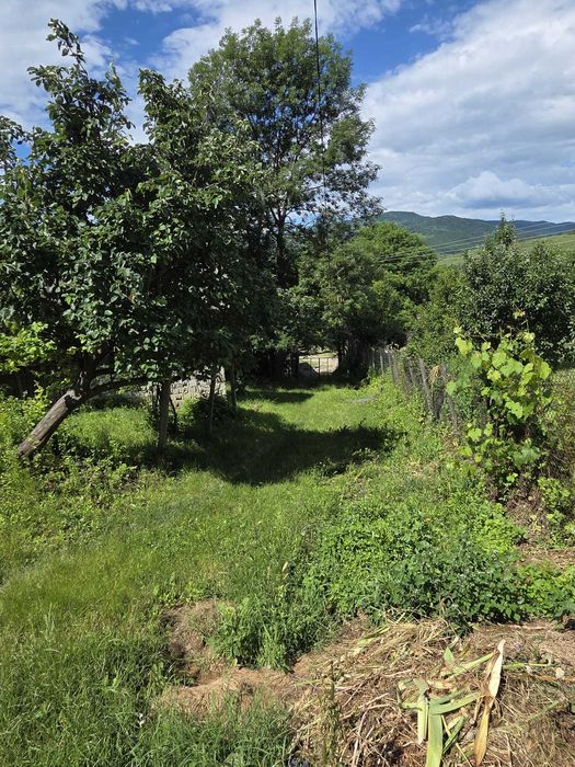 Teren de vanzare intravilan Cozieni (sat Trestia) jud Buzau