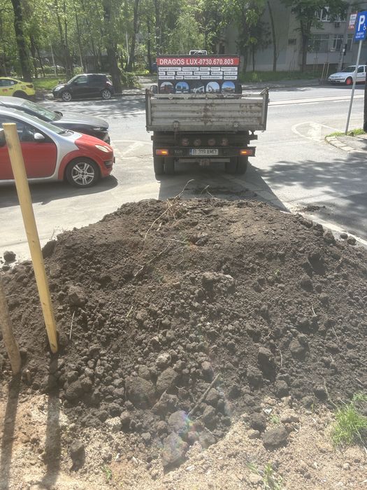 Amenajam curti cu pamant vegetal/pamant negru de padure(bragadiru/clinceni-magurele-domnesti-varteju-teghes-ciorogarla-sabareni-joita-ordoreanu-olteni