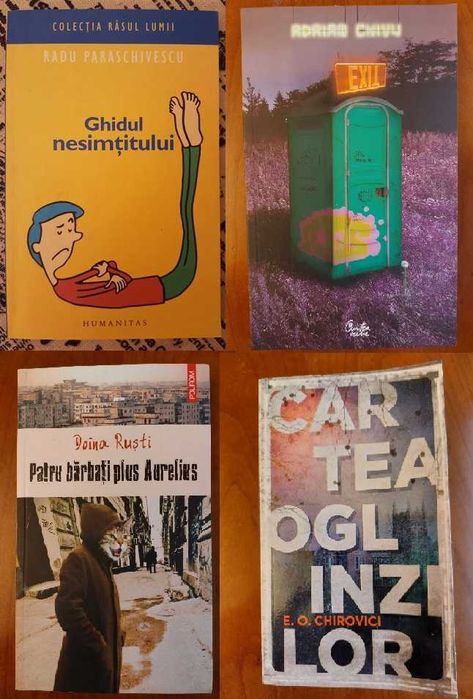 Proza/memorii romani/straini: Coposu Johnny Raducanu Doina Rusti etc