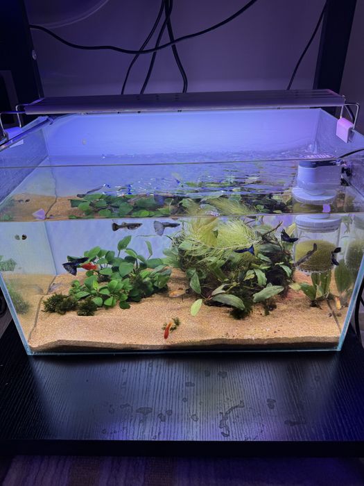 Аквариум комплект