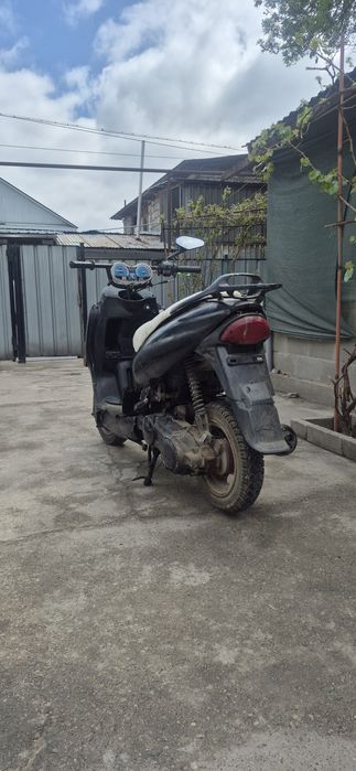 Viper Grand prix 2004