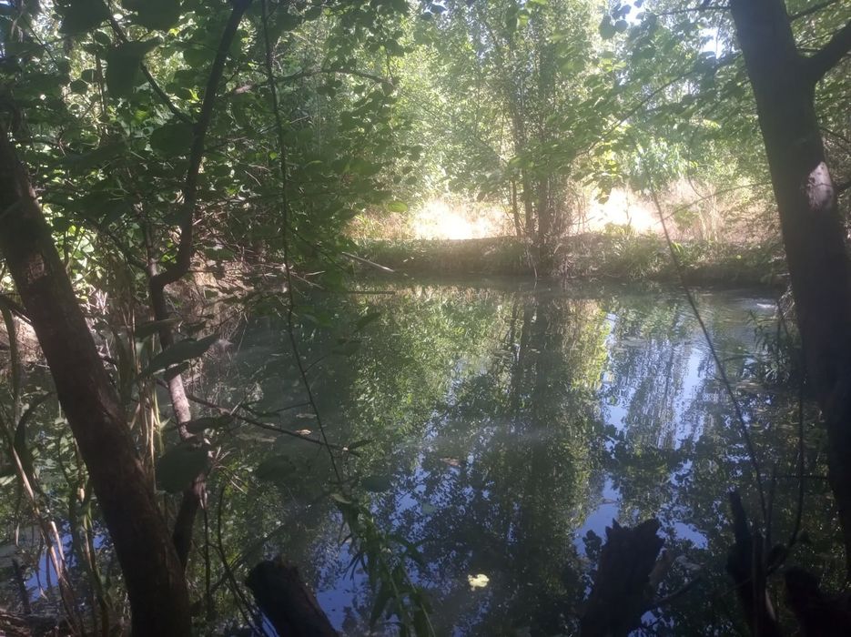 Продается дача 30 соток