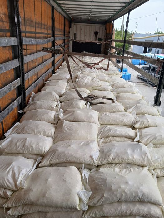 Oltingugurt kamok va molotoya