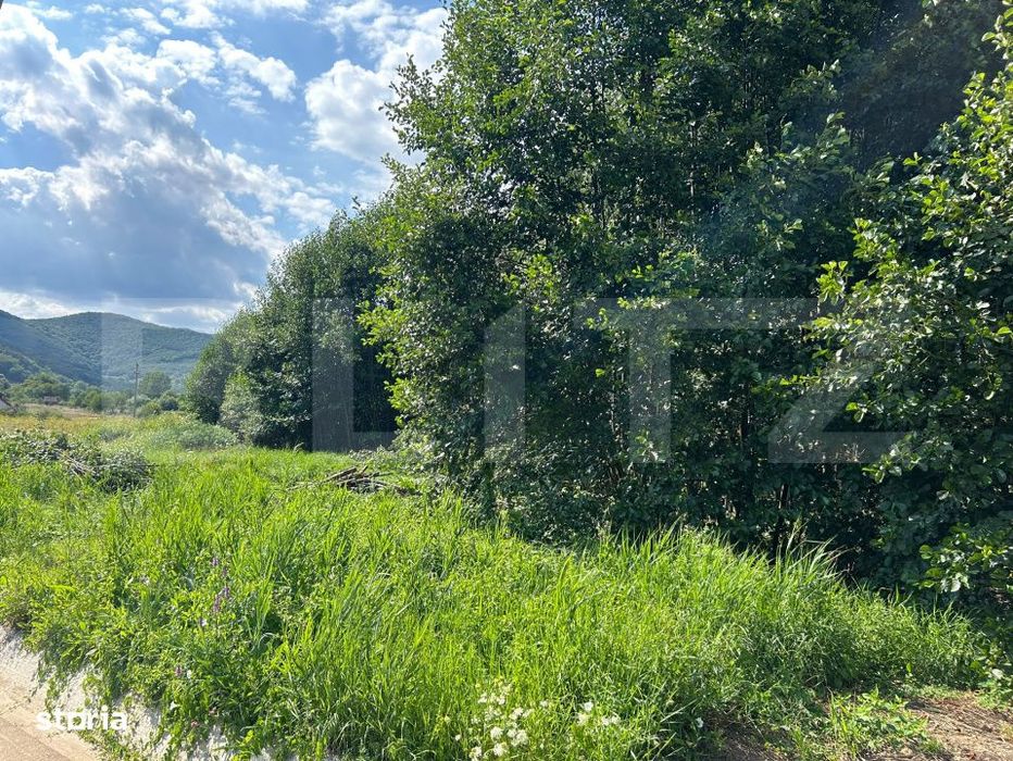 Teren intravilan de vanzare – Valisoara, 700 mp