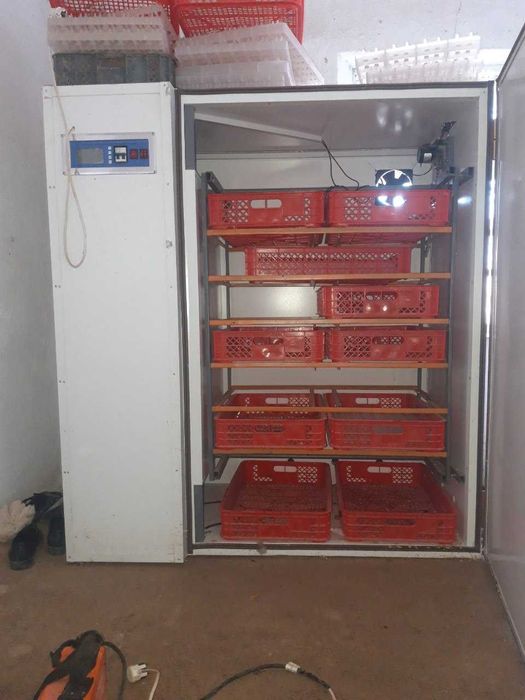 Инкубатор жужа бизнес учун  цена