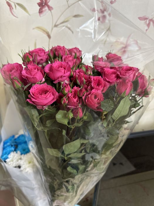 Кустовые розы розовые