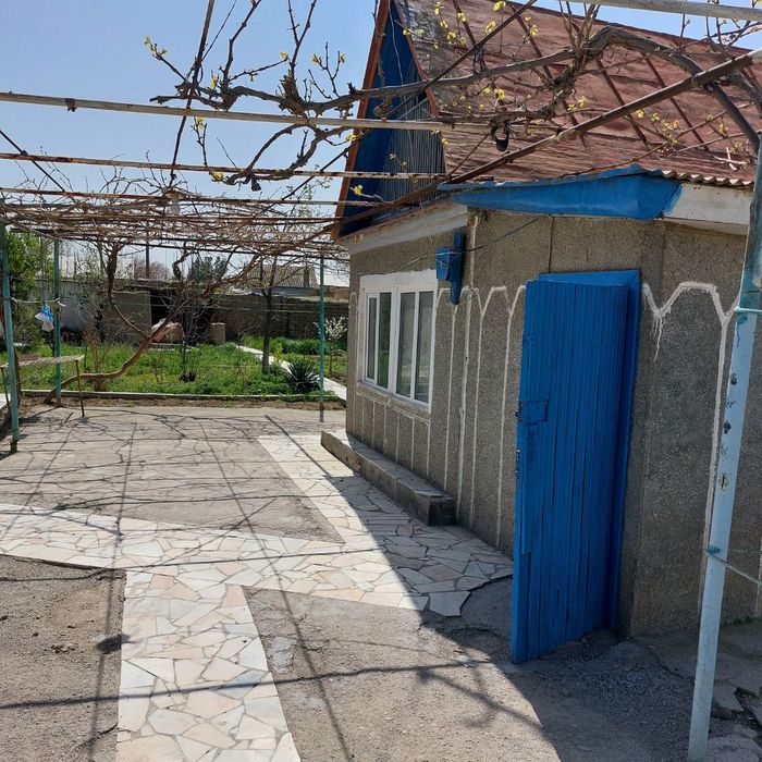 Дала ховли сотилади