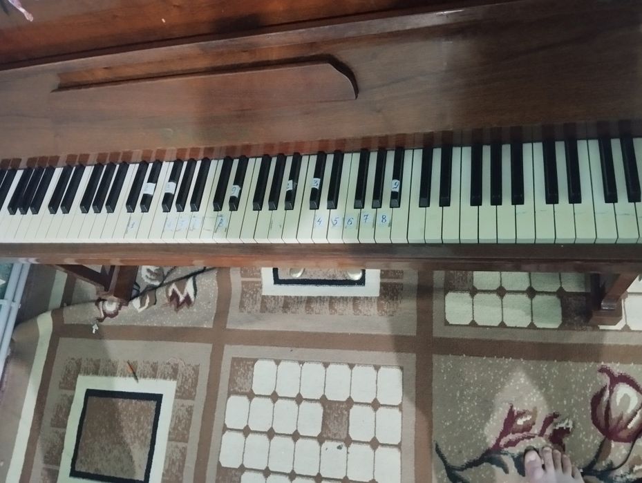 Pianino Rönisch ideal