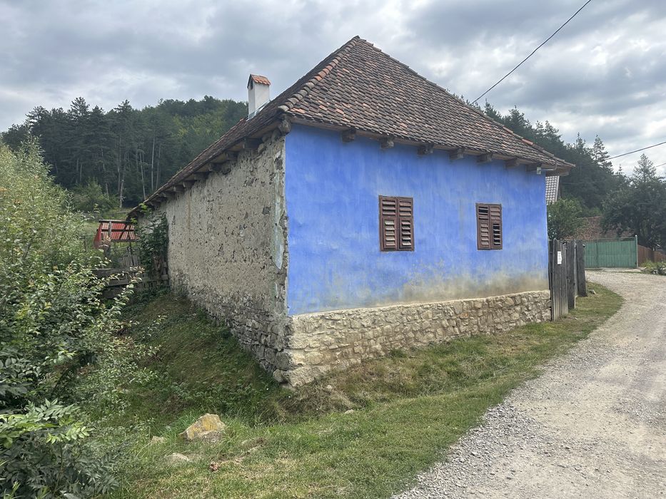 Casa traditionala la Valea Zalanului