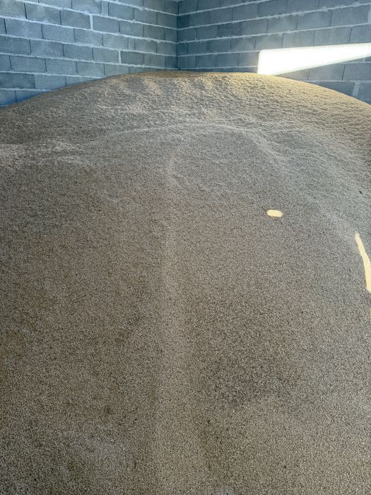 Vând triticale  grau ovaz porumb