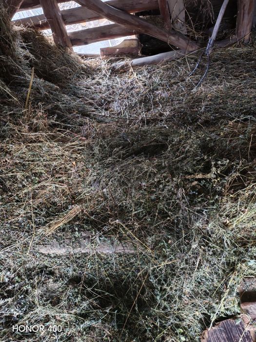 Vând lucernă 2 tone