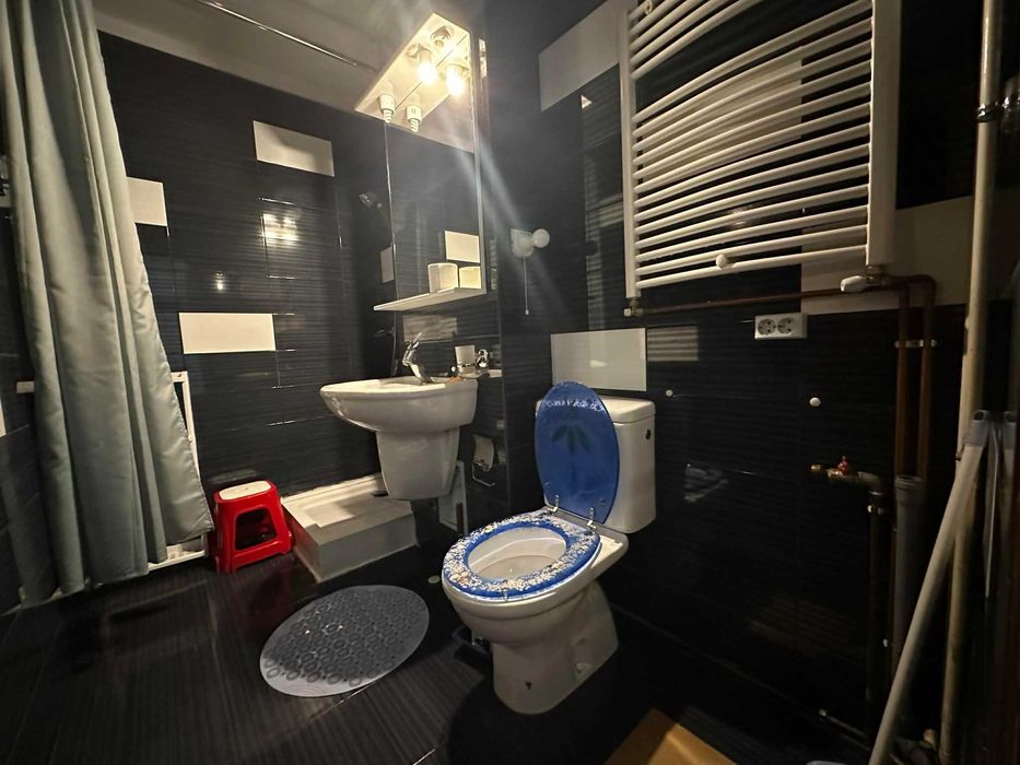 Proprietar 1 camera decomandat Aradului