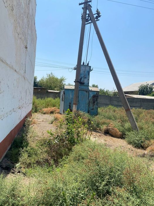 Sirdaryo shahar Uzbekiston kalhozida (Boston) 4 gektar ferma