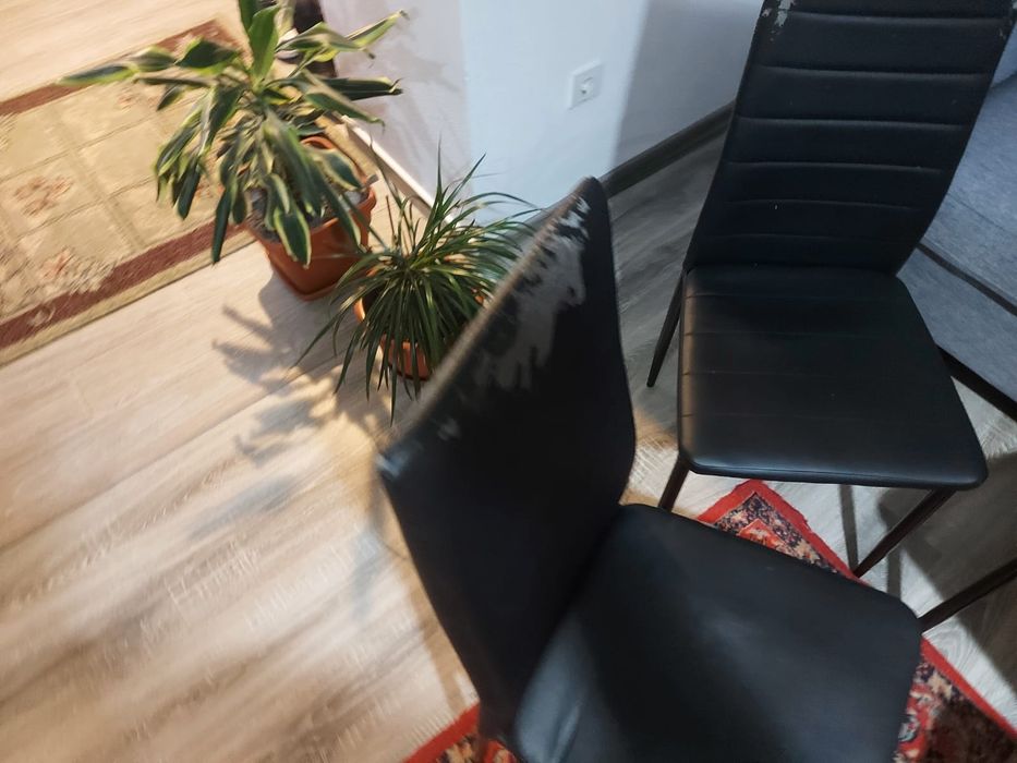 Vând scaune de masa