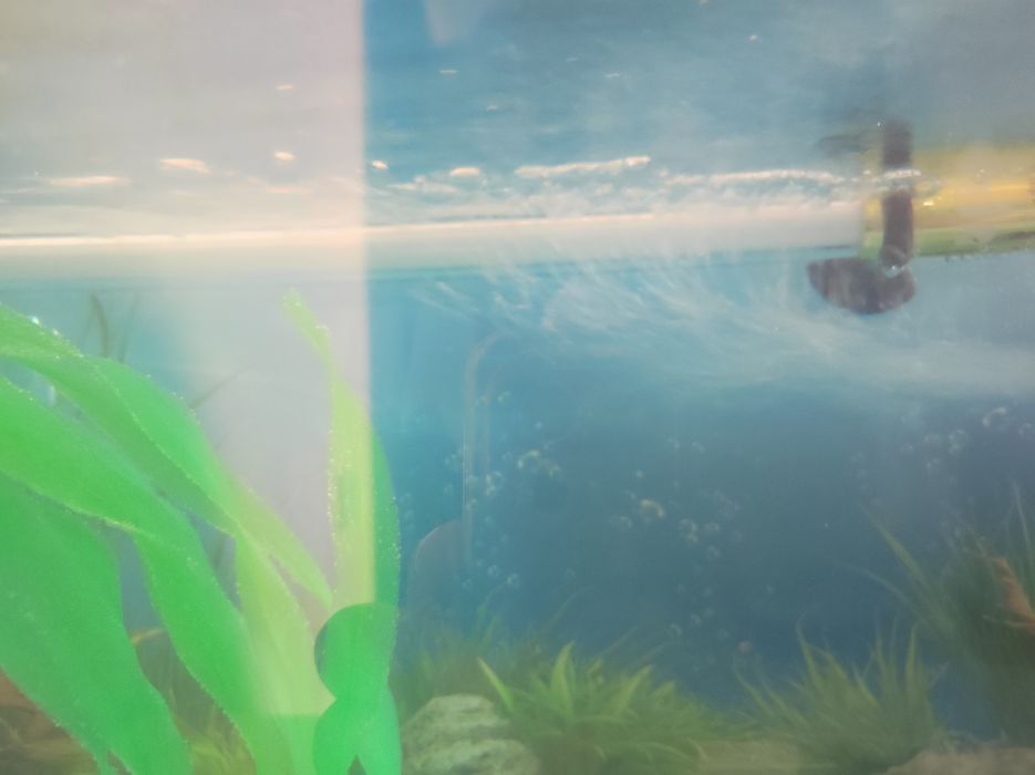 Akvarium 40 litrlik