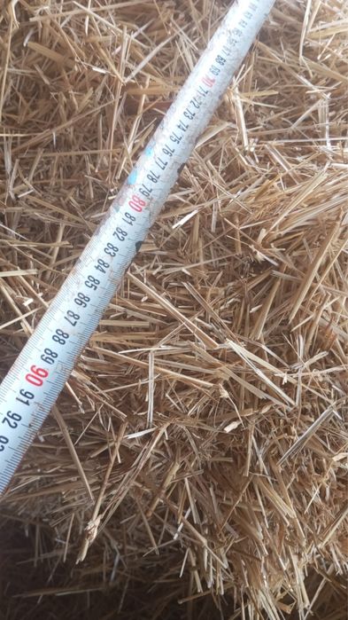 Солома в  больших тюках