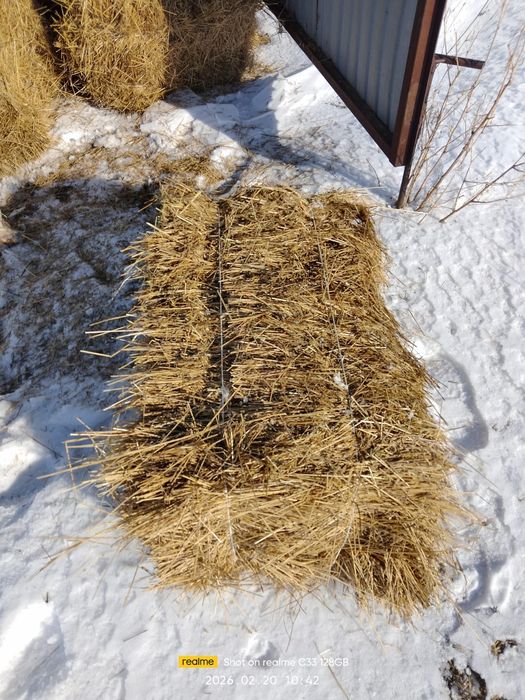 Сено в тюках со склада