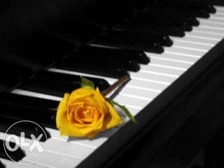 Meditatii pian Sector 1