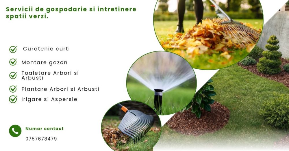 Amenajari gradini si întretinere