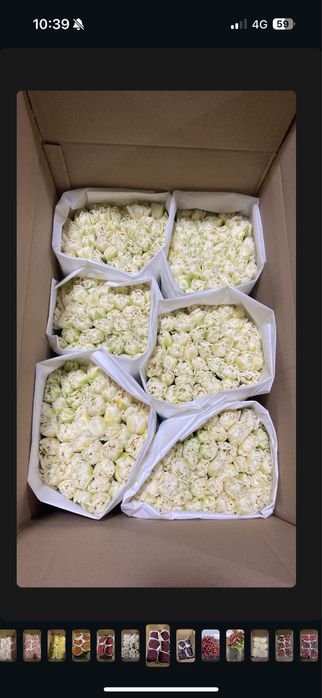 Тюльпаны к 8 марта