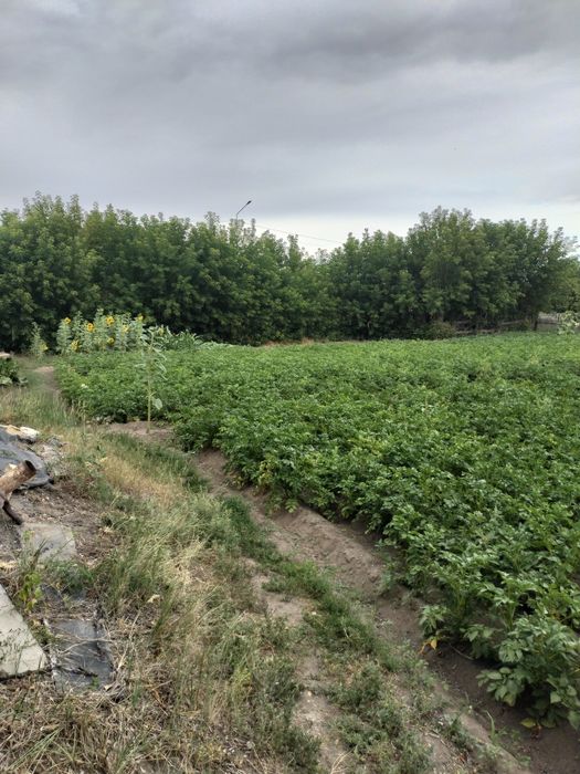 Продам дом в п.Долинка (ГРП)