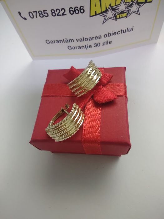 Cercei aur 14k (efn)