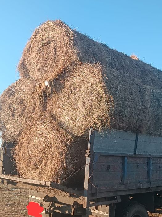 Продам сено, разнотравье.