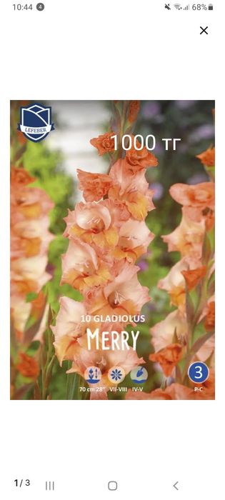 Продам семена и луковицы цветов