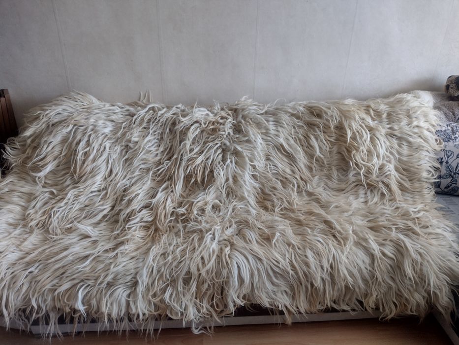 Автентичен Родопски Козяк